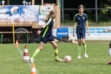 Bild 446 - Loewinnen Cup
